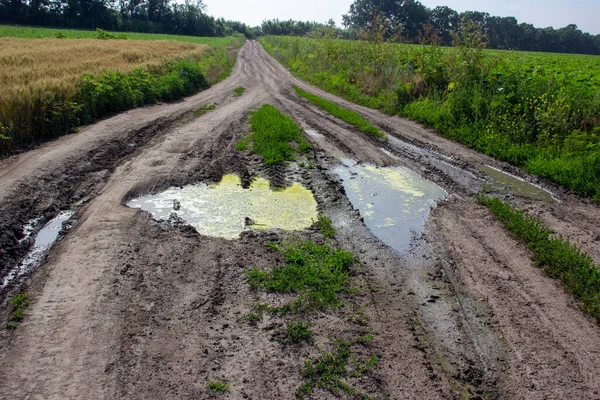 Puddle with dirty water on a field road
