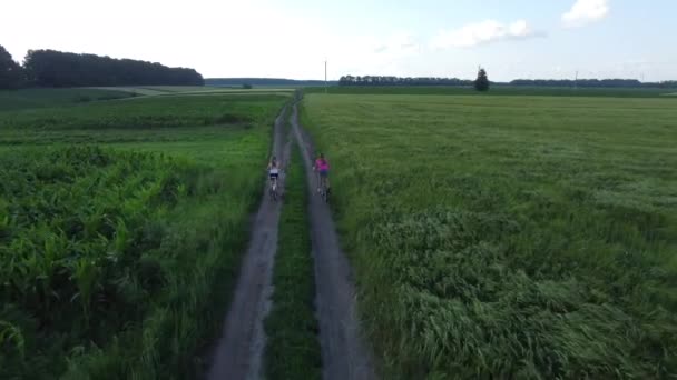 Girls ride bicycles near a field of wheat. — Video Stock