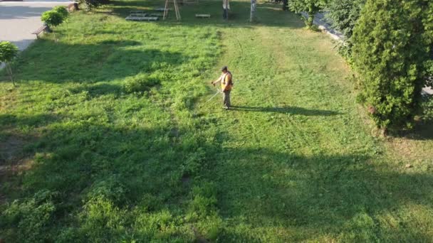 A man mows the green grass with a scythe — Stockvideo