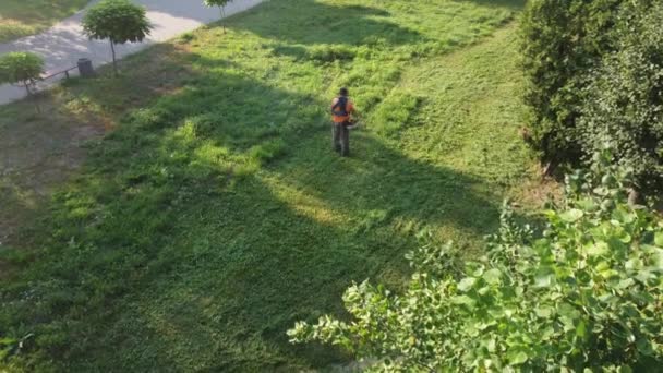 A man mows the green grass with a scythe — Stockvideo