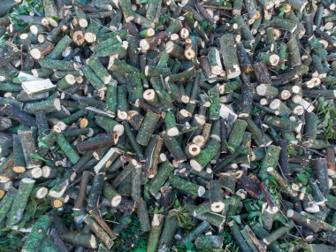 Yakacak odun kestim. Bir odun yığını..