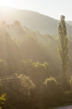 Sırbistan'daki ıslak dağ Sunrise