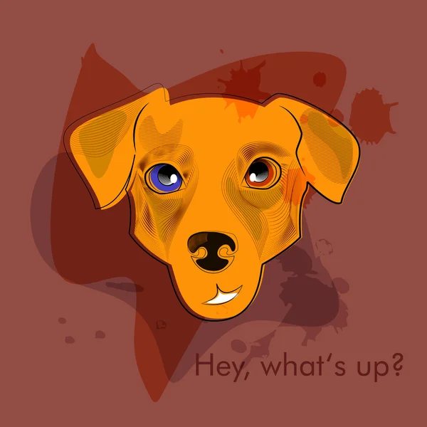 Konuşan köpek