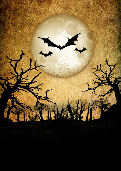 Halloween Festival Background
