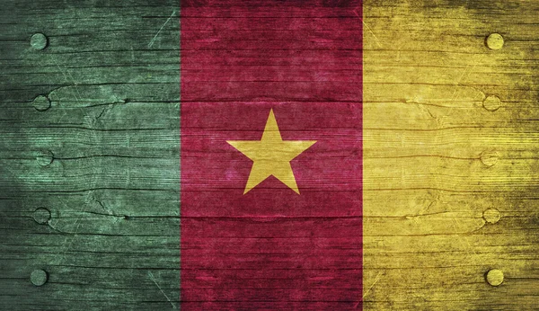 Bandiera del Camerun — Foto Stock