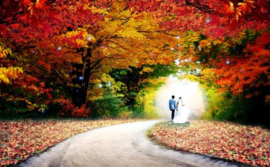 Doğa ile düğün güzel arka plan