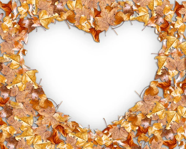 Feuilles d'automne en forme de coeur — Photo