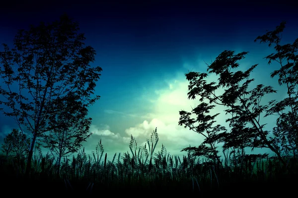 Gece gökyüzü doğa ve soyut arka plan — Stok fotoğraf