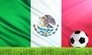 Meksika ulusal bayrağı.