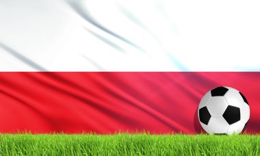 Polonya Ulusal Bayrağı