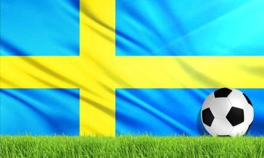 İsveç ulusal bayrağı