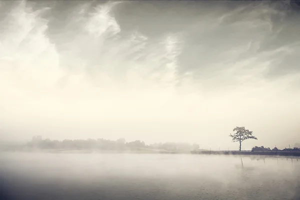 Morning fog nature image — Stock Photo, Image