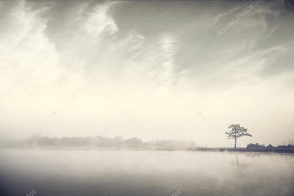 morning fog nature image