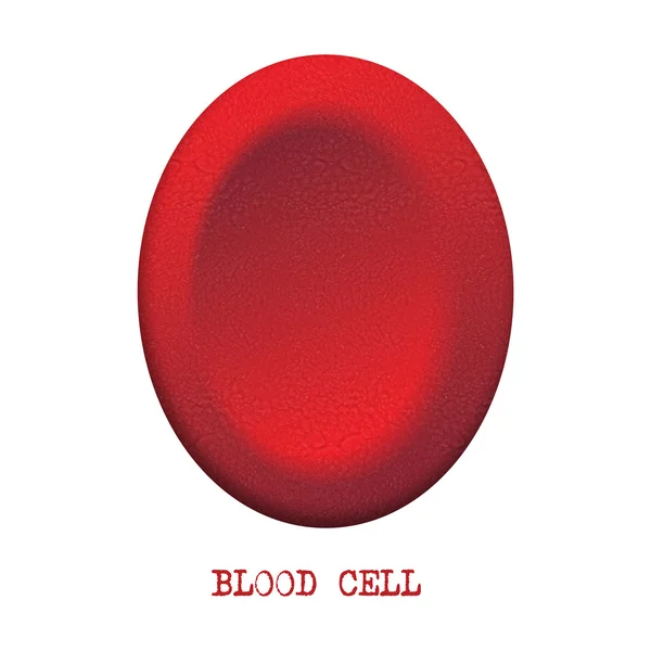 Cellules sanguines rouges — Photo