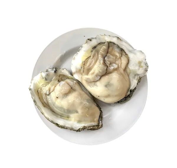 Oyster оболонки — стокове фото