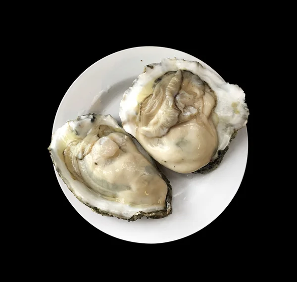 Oester schelp — Stockfoto