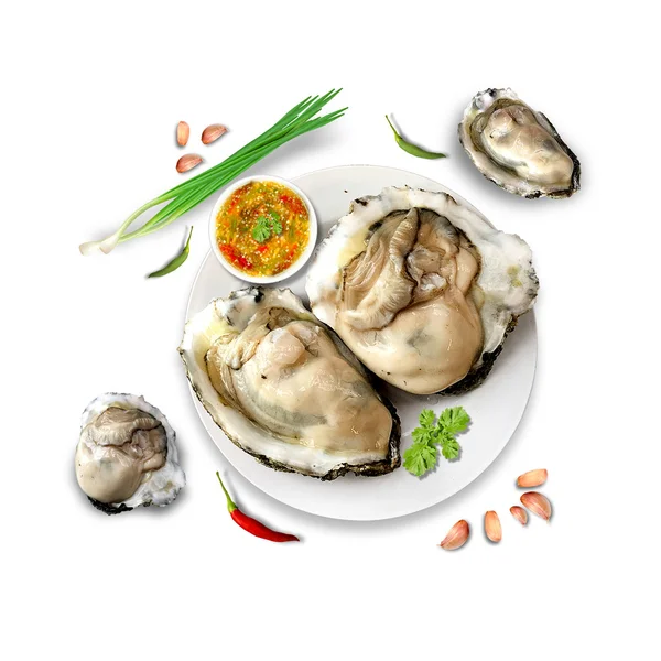 Oyster frutos do mar — Fotografia de Stock