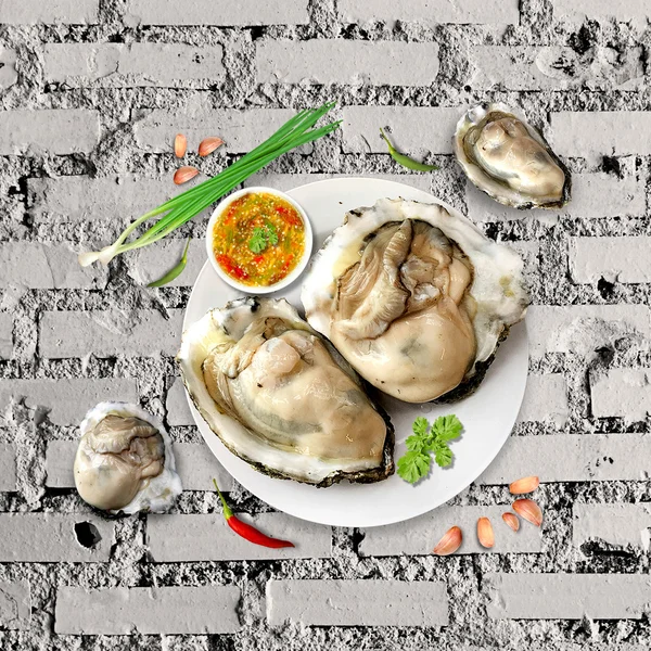 Oyster frutos do mar — Fotografia de Stock