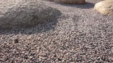 Zen taşlar ve büyük rock Bahçe stil yakın bakış sabah güneşi ile süsleyin