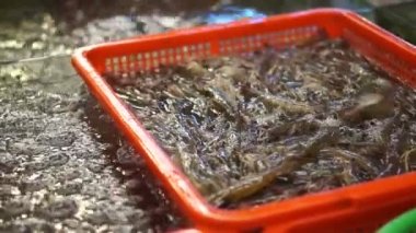 Canlı deniz ürünleri karides Çin pazarında atlama. El alarak karides satmak için