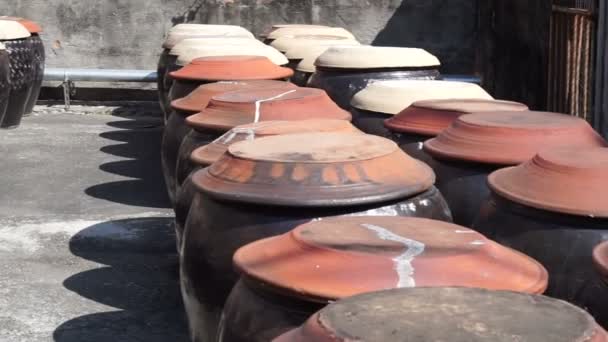 Soja fermenté dans le pot d'argile pour faire de la sauce soja — Video