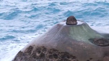 Yehliu Geopark Tayvan, Video deniz mum. Kaya oluşumu temel bir küre