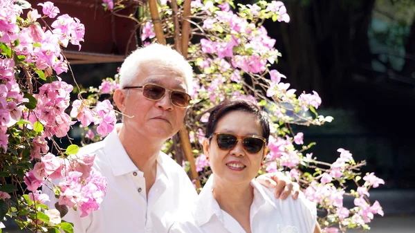 亚洲高级夫妇与三角梅朵紫色的花 — 图库照片