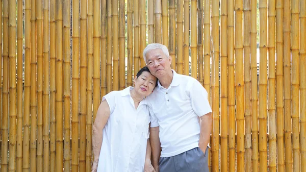 Asian senior couple with golden bamboo background and copy space — Stock Photo, Image