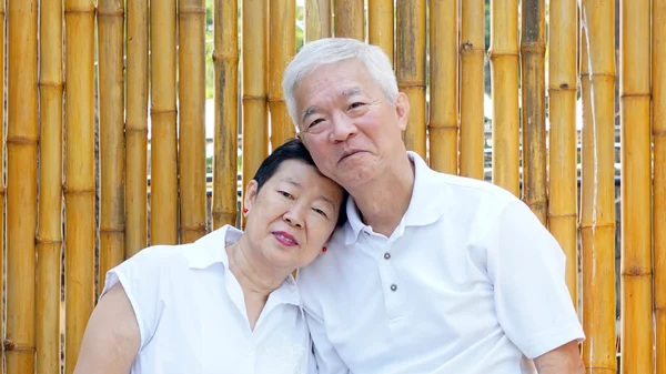 Asiático casal sênior com fundo de bambu dourado e espaço de cópia — Fotografia de Stock