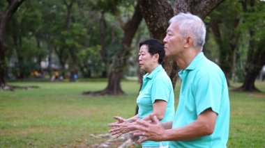 Asian Senior Elderly couple Practice Taichi, Qi Gong exercise ou clipart