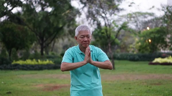 Азиатские старшие практики Taichi, Qi Gong упражнения на открытом воздухе — стоковое фото