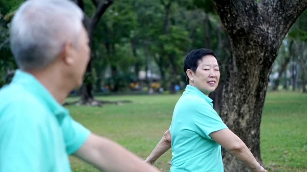 Ázsiai vezető idős pár gyakorlat Taichi, Qi Gong gyakorlása ou — Stock Fotó