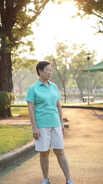 亚洲高级女人微笑在阳光与早上自然背景 — 图库照片