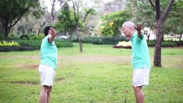 Video pasangan lansia senior Asia Practice Taichi, latihan Qi Gong di luar taman. Abstrak cinta kesehatan dan alam — Stok Video