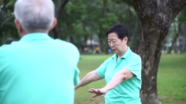 Vídeo de Asiático Mayores Pareja Práctica Taichi, Qi Gong ejercicio al aire libre en el parque. Amor abstracto salud y naturaleza — Vídeo de stock