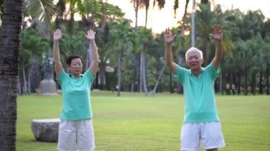 Asya kıdemli yaşlı çiftin pratik Taichi, Qi Gong egzersiz açık parkta video. Soyut love sağlık ve doğa