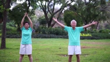 Asya kıdemli yaşlı çiftin pratik Taichi, Qi Gong egzersiz açık parkta video. Soyut love sağlık ve doğa