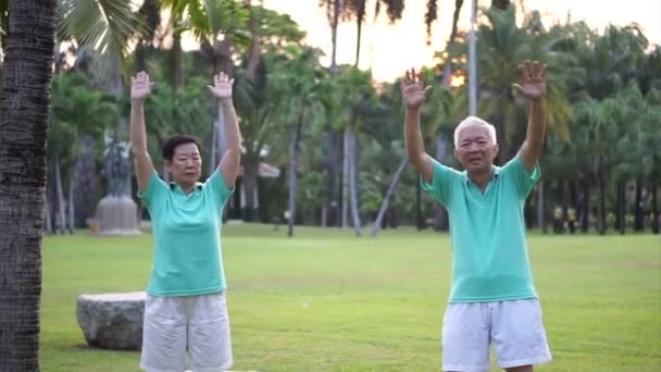 Video von asiatischen Senioren-Paar üben Taichi, Qi-Gong-Übungen im Freien im Park. abstrakte Liebe Gesundheit und Natur — Stockvideo