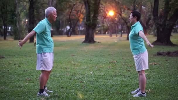 アジア シニア高齢者カップル練習太極拳、気功運動公園で屋外のビデオ。抽象的な愛の健康と自然 — ストック動画