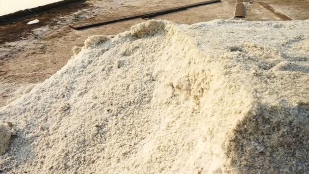 Wiatrak i kwiat morze soli w gospodarstwie solnisko, sól pole z rano słońce — Wideo stockowe