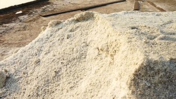 Moulin à vent et fleur de sel de mer dans la salière, champ de sel avec soleil du matin — Video