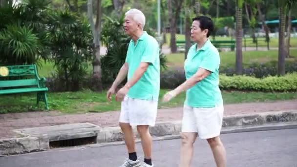 Feliz casal asiático sênior exercício de caminhada ao longo do parque. Abstrato amor saúde e natureza — Vídeo de Stock