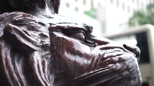 Гонконг - квітня 2016: Мокра Лев статуя на вході голову кварталу Hsbc Банк башта в центральному окрузі, Сполучені Штати Америки. — стокове відео