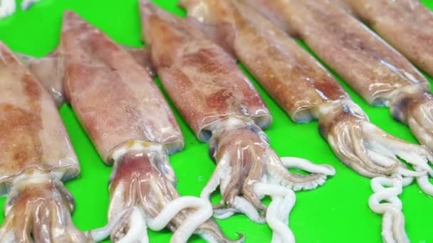 Свежий сырой кальмар и каракатица на рыбном рынке — стоковое видео