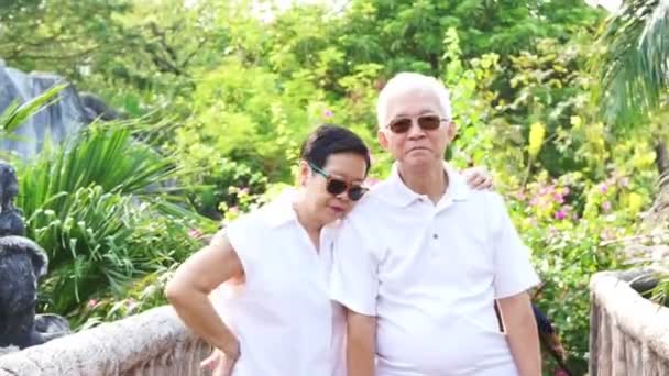 Couple asiatique sénior rester ensemble dans la nature. Parler et toucher avec amour — Video