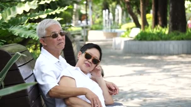 Casal sênior asiático ficar juntos na natureza. Falando e tocando com amor — Vídeo de Stock