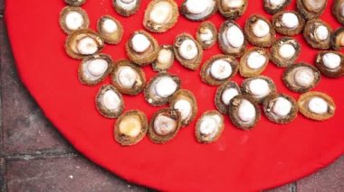 Deniz ürünleri abalone Dükkanı Çin kurutulmuş Hong Kong. Tıp gıda Sağlık için