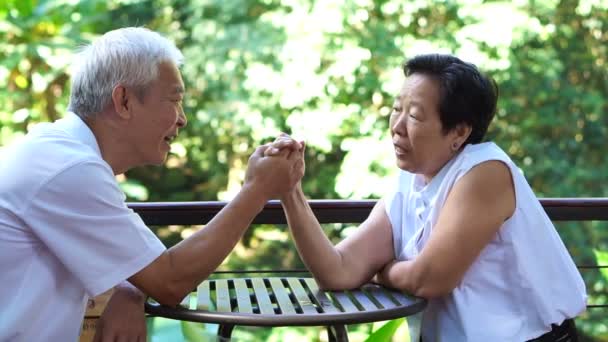 Asiatiska senior spela hand wresting abstrakt överensstämmer, ge till varandra i livet med gröna naturen bakgrund — Stockvideo