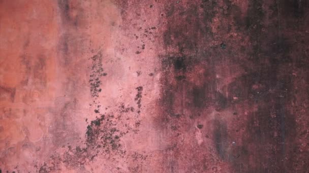 Rojo viejo molde pared textura fondo — Vídeo de stock