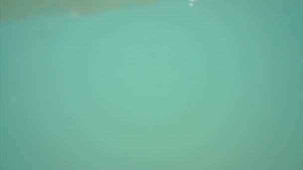 Μια τροπική παραλία υποβρύχια πυροβόλησε. φωτογραφική μηχανή τηγάνι από πάνω από το νερό για να υπό και δείτε επιφάνεια άμμου — Αρχείο Βίντεο